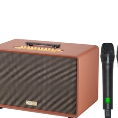 Loa karaoke di động xách tay Acnos Flac 39