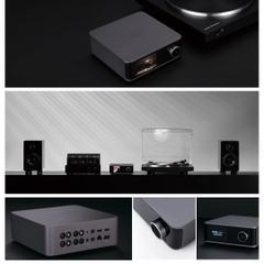 Music Streamer WiiM Ultra