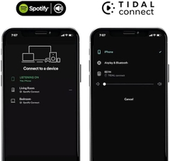 Music Streamer WiiM Mini