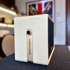 Loa Karaoke Di Động Soncamedia D'Auris 300