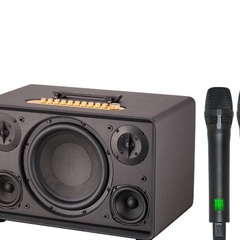 Loa karaoke di động xách tay Acnos Flac 39