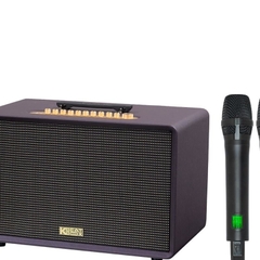 Loa karaoke di động xách tay Acnos Flac 39