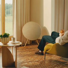 Bang & Olufsen Beosound A9 5th Generation