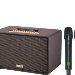 Loa karaoke di động xách tay Acnos Flac 39