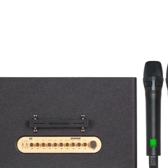 Loa karaoke di động xách tay Acnos Flac 39