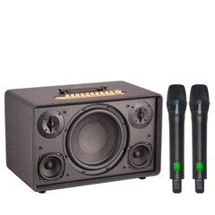 Loa karaoke di động xách tay Acnos Flac 39