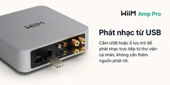 Music Streaming WiiM Amp Pro
