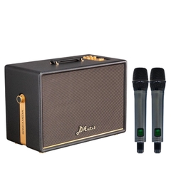 Loa Karaoke Di Động Soncamedia D'Auris 500