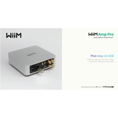 Music Streaming WiiM Amp Pro