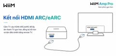 Music Streaming WiiM Amp Pro