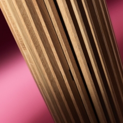 Loa Bang & Olufsen Beolab 28