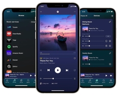 Music Streamer WiiM Pro Plus