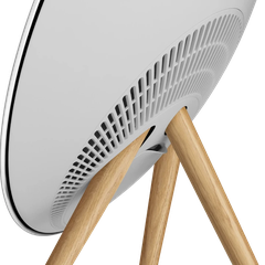 Bang & Olufsen Beosound A9 5th Generation