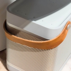 Loa Di Động Bang & Olufsen Beolit 20