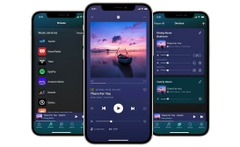 Music Streamer WiiM Ultra