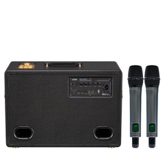 Loa Karaoke Di Động Soncamedia D'Auris 500