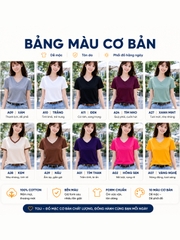 Áo thun nữ cổ tim TOLI BSA41 – Cotton mềm, form suông gọn dáng, dễ phối mặc mỗi ngày