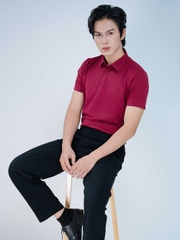 Áo PoLo Nam-Cổ Sơ Mi-Tím Nho-PLM24