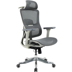 Ghế Công Thái Học GLE20