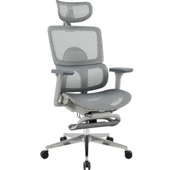 Ghế Công Thái Học GLE21