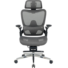 Ghế Công Thái Học GLE24