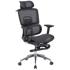 Ghế Công Thái Học GLE13