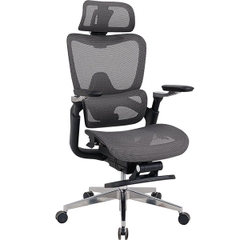 Ghế Công Thái Học GLE24