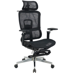 Ghế Công Thái Học GLE25