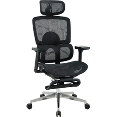 Ghế Công Thái Học GLE21