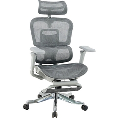 Ghế Công Thái Học GLE22