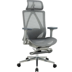 Ghế Công Thái Học GLE23