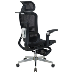 Ghế Công Thái Học GLE25