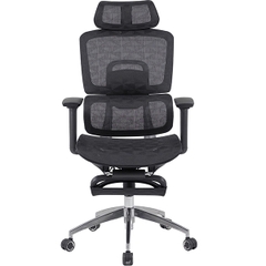 Ghế Công Thái Học GLE13