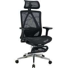 Ghế Công Thái Học GLE23