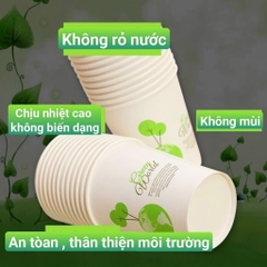 SET 50 CHIẾC CỐC GIẤY 250ML