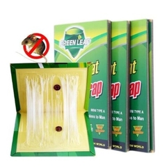 MIẾNG DÍNH CHUỘT GLUE MOUSE