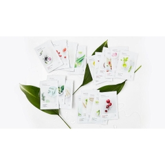 MẶT NẠ GIẤY 2017 INNISFREE MY REAL SQUEEZE MASK