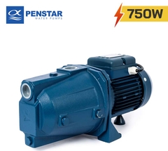 Máy bơm chân không đẩy cao Penstar CAM 100-N