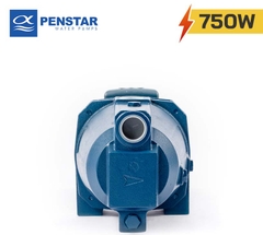 Máy bơm chân không đẩy cao Penstar CAM 100-N