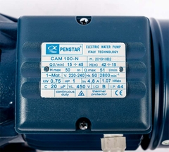 Máy bơm chân không đẩy cao Penstar CAM 100-N