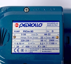 Máy bơm ITALY chân không Pedrollo PKSm 80