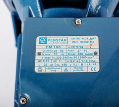 Máy bơm ly tâm đẩy cao Penstar CM 100