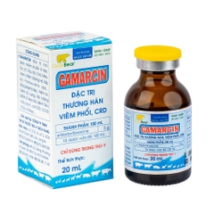 Rx-GAMARCIN (20 ML/LỌ)-Thuốc kê đơn