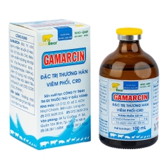 Rx-GAMARCIN  (100 ML/LỌ)-Thuốc kê đơn