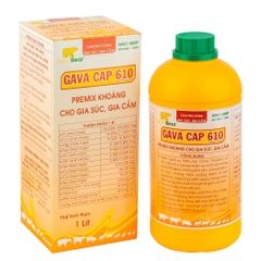 GAVA CAP 610 (1 LÍT/CAN)