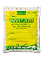 GAVA LACTYL (1 KG/GÓI)