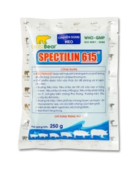 Rx-SPECTILIN 615 (250 G/GÓI) Xanh-Thuốc kê đơn