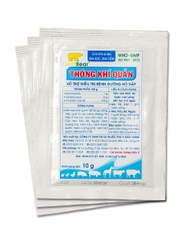 Rx-THÔNG KHÍ QUẢN (10 G/GÓI)-Thuốc kê đơn