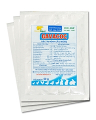 GAVACOC (50 G/GÓI)