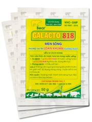 Rx-GALACTO 818 (50 G/GÓI)-Thuốc kê đơn